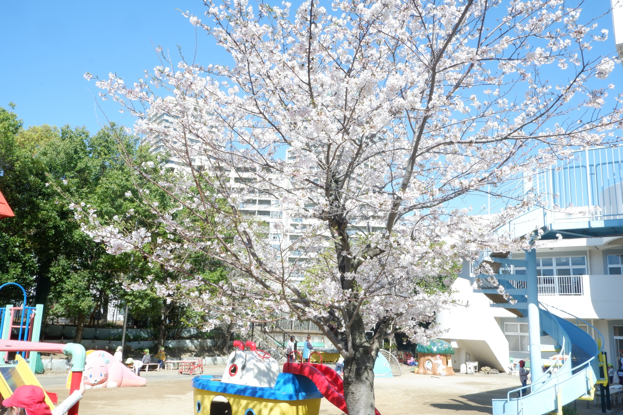 4月