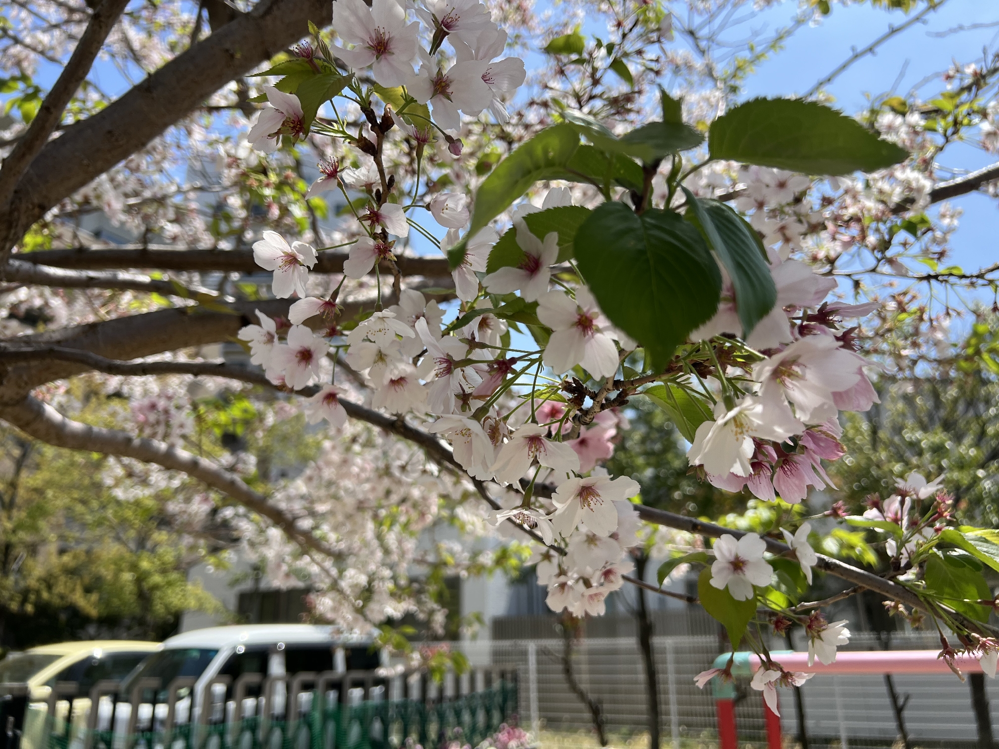 3月
