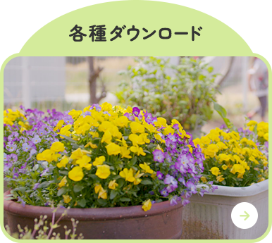 各種ダウンロード