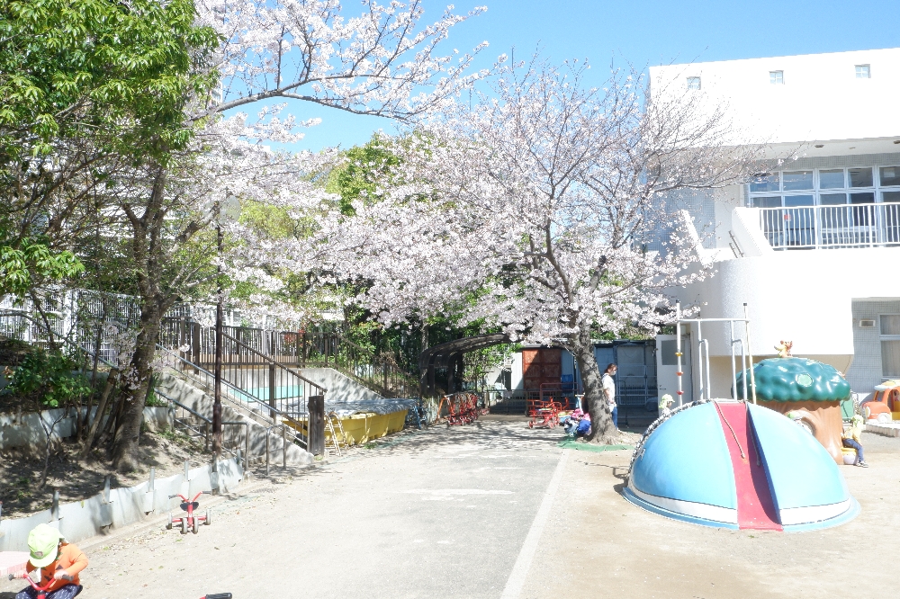 お花見日和🌸