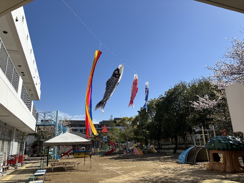 鯉のぼり