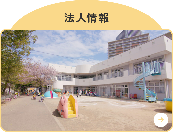 法人情報