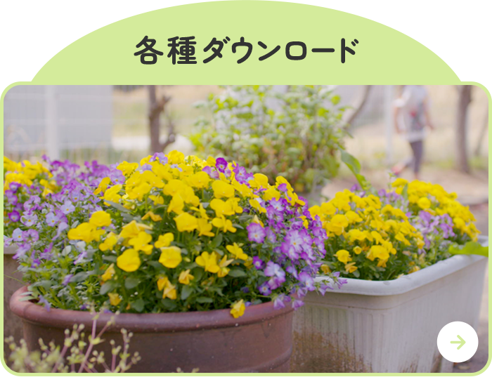 各種ダウンロード